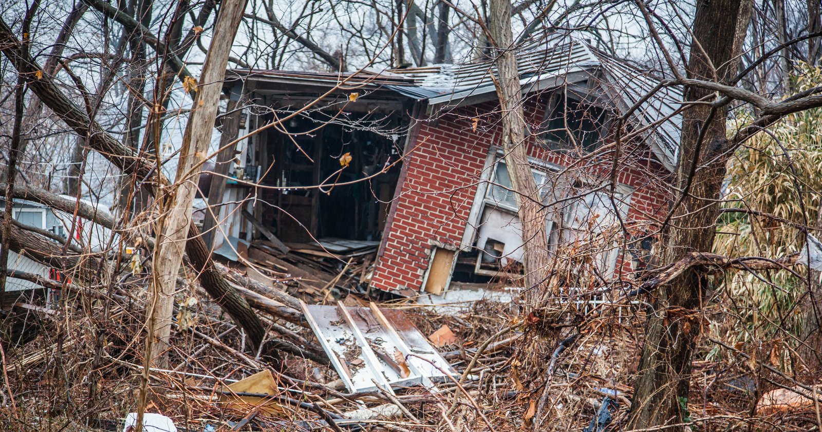 art-of-sandy-mo-staten island 2-97.jpg